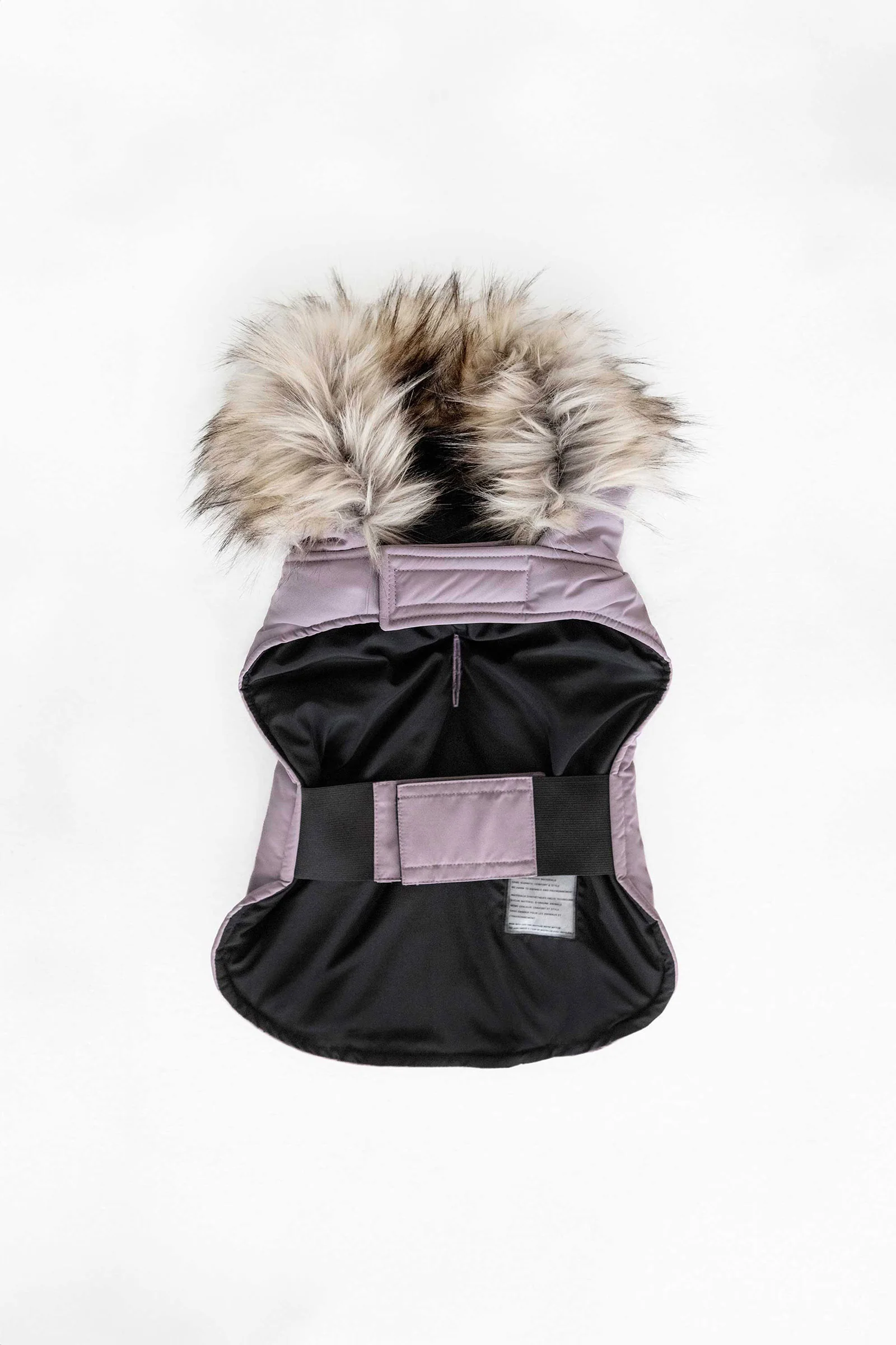 Karter - Image 18