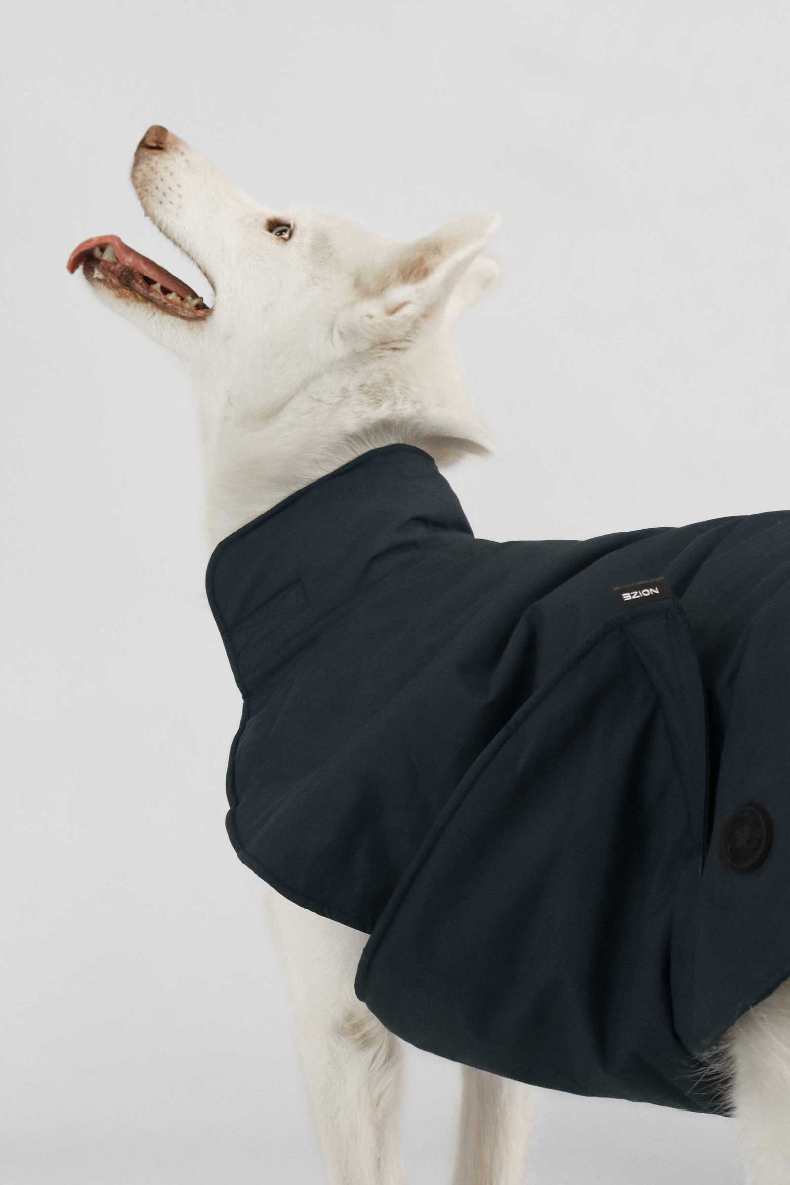 Buddie - Image 10
