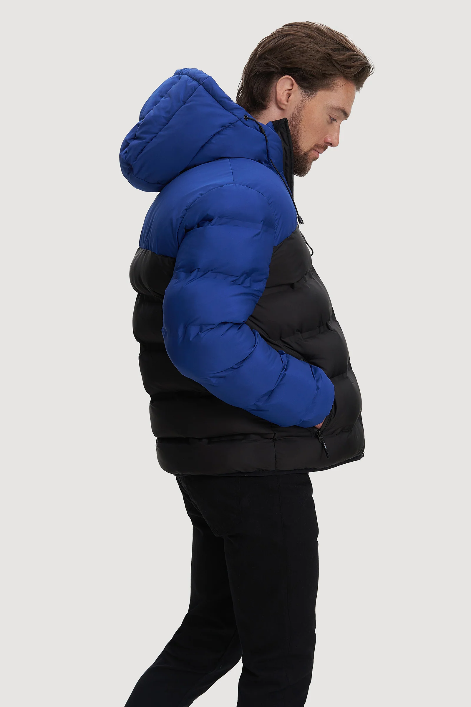 Hector - Image 3