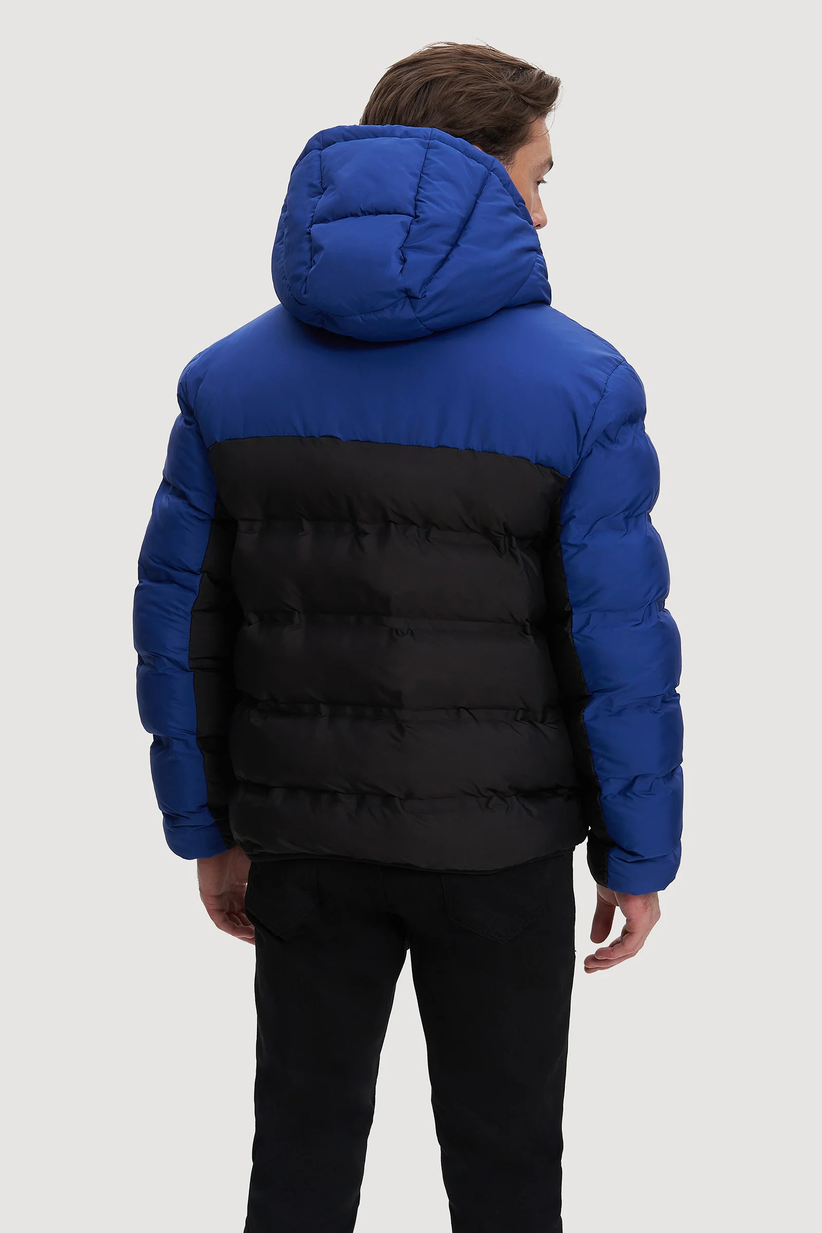 Hector - Image 4