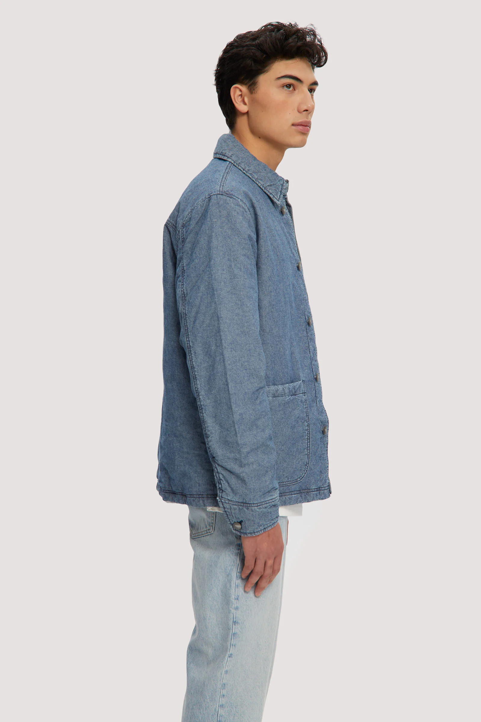 Archie - Image 4