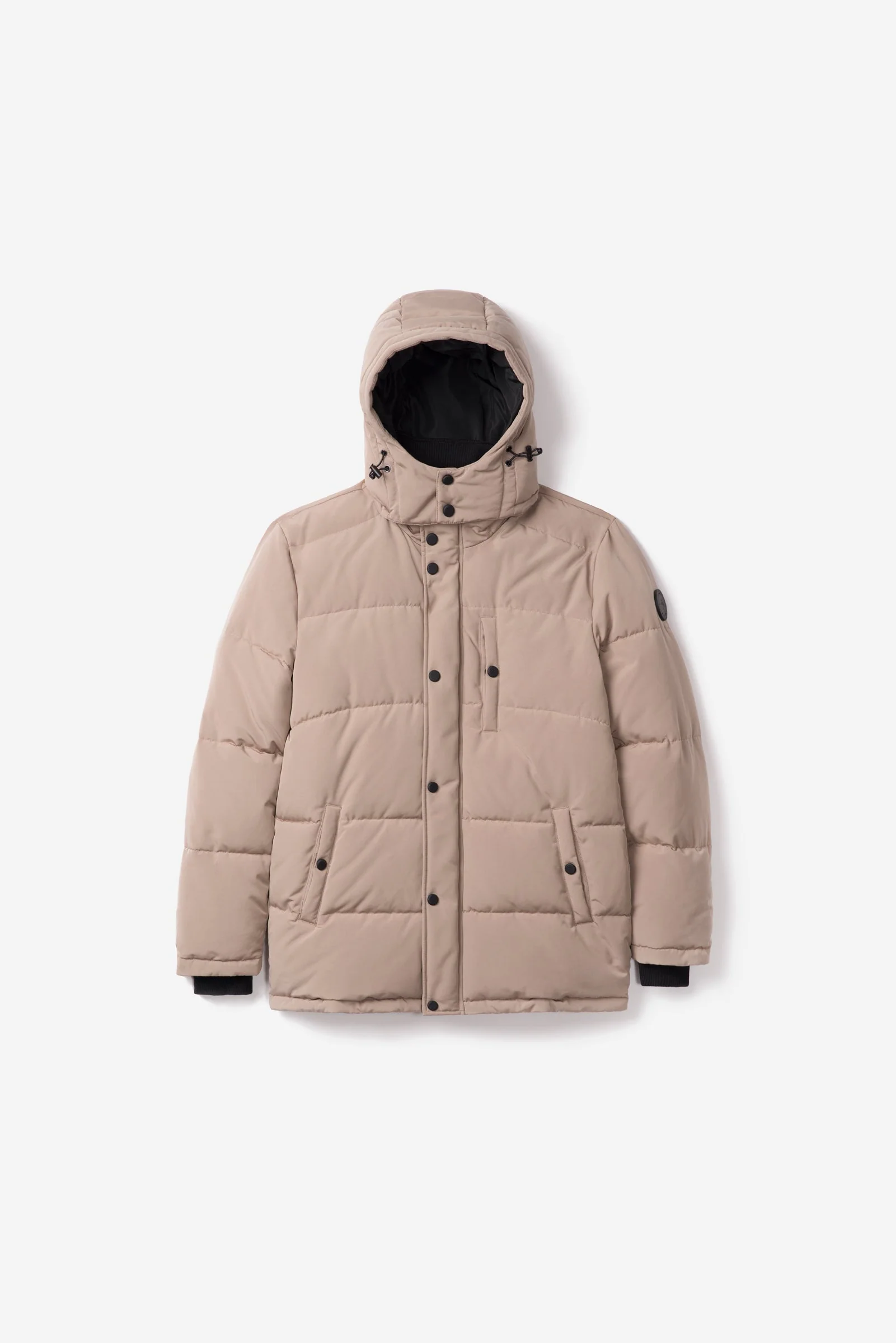 Jay - Image 10