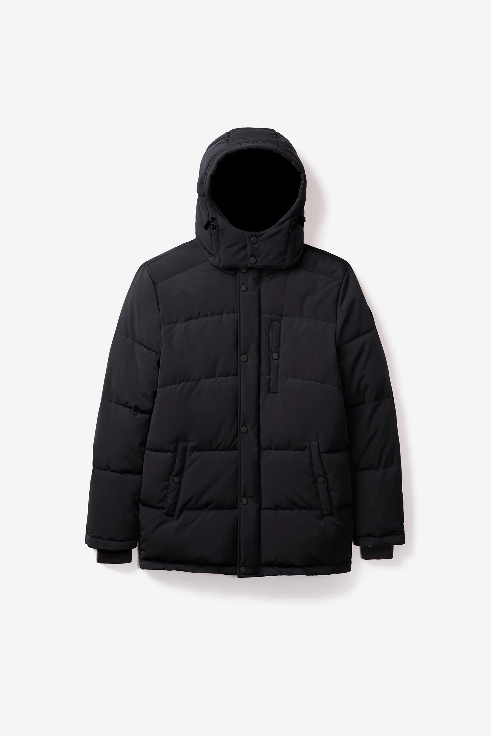 Jay - Image 15