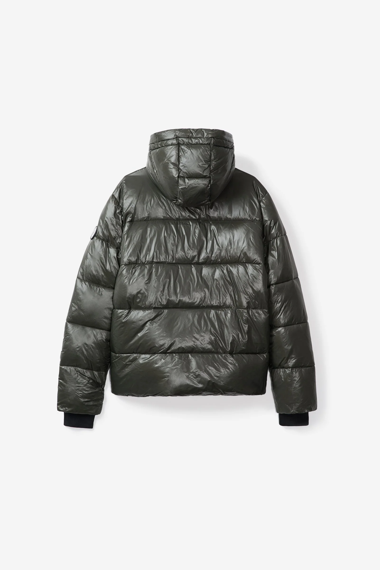 Hank - Image 12