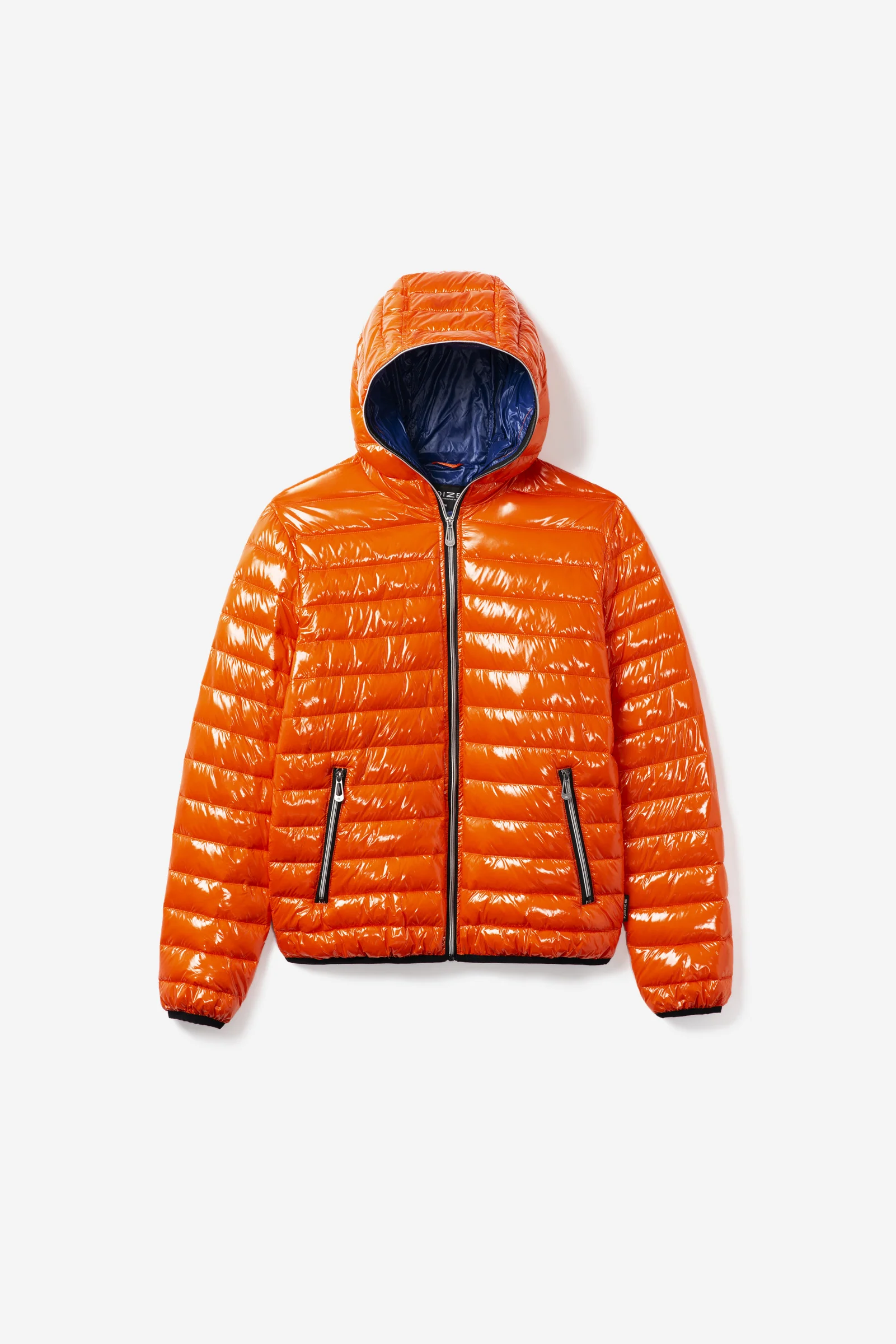 Finn - Image 25