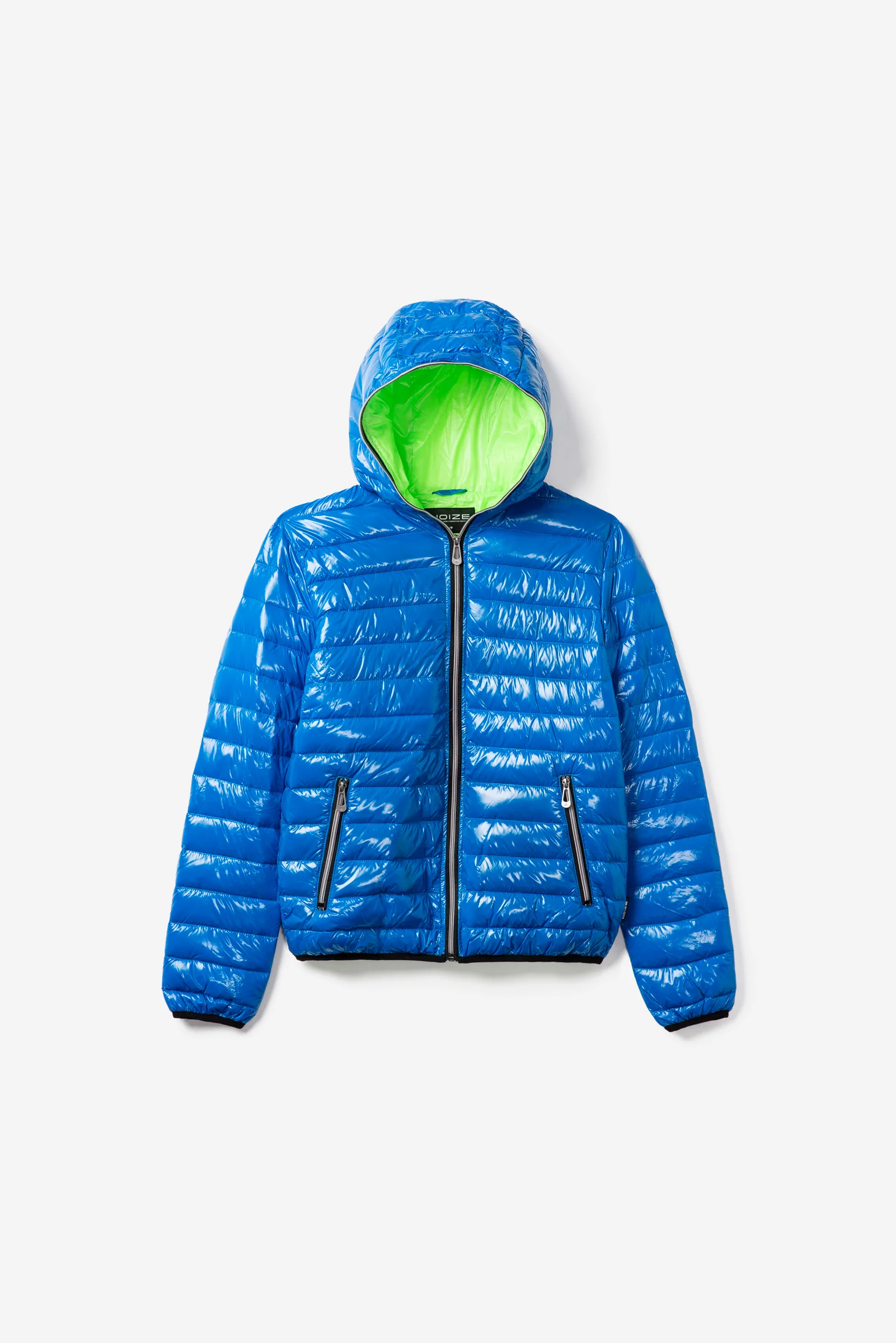 Finn - Image 6