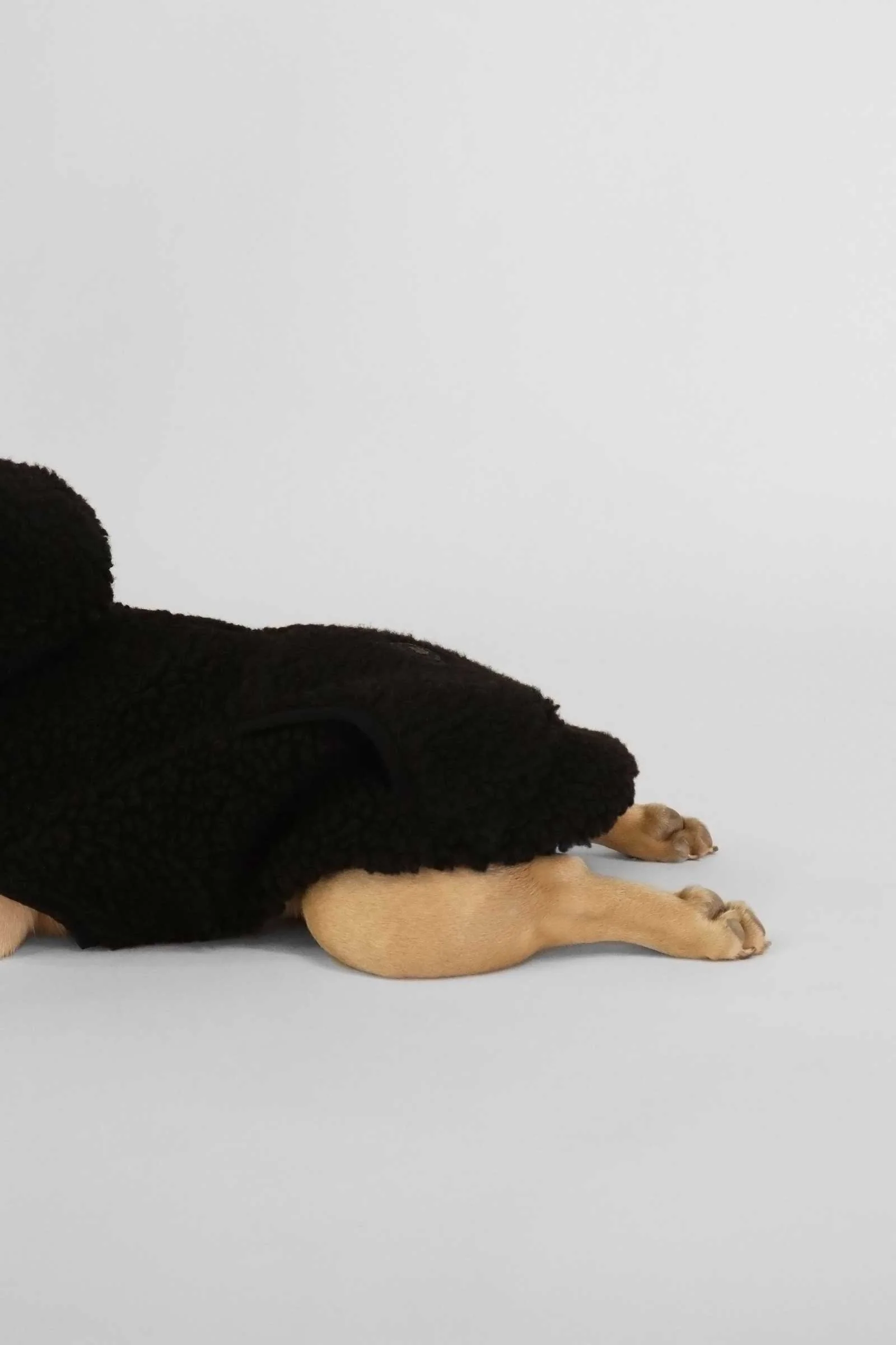 Kibbles - Image 4