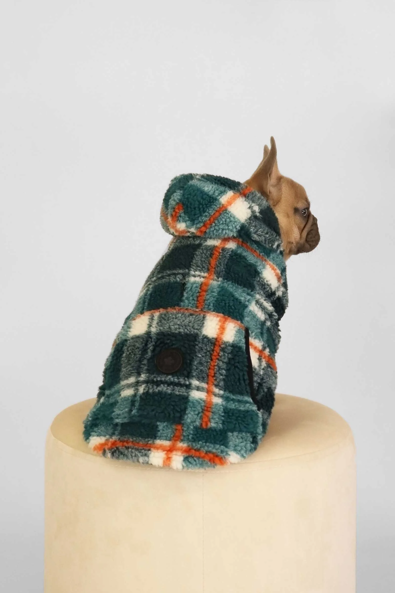 Kibbles - Image 7