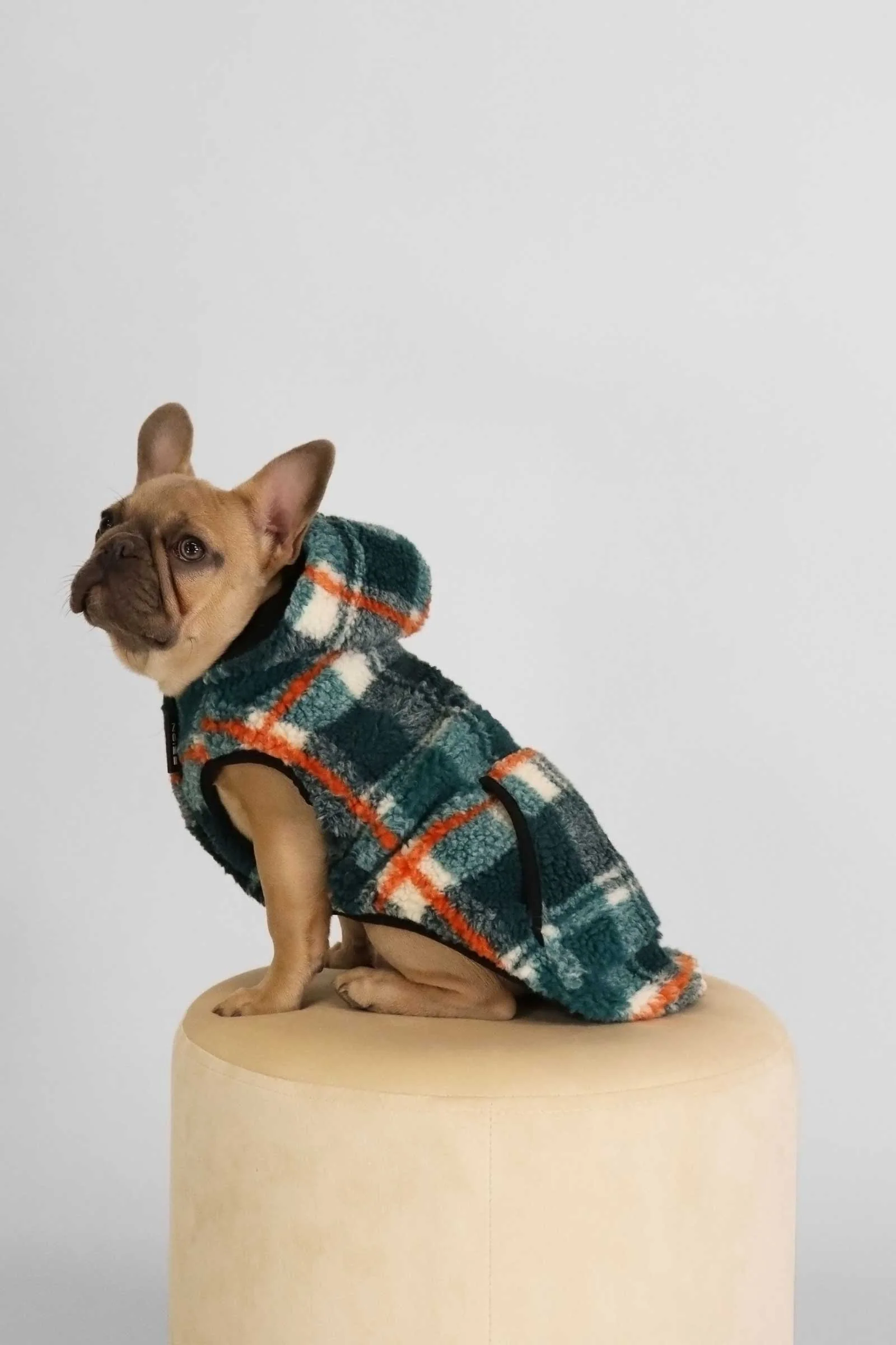 Kibbles - Image 9